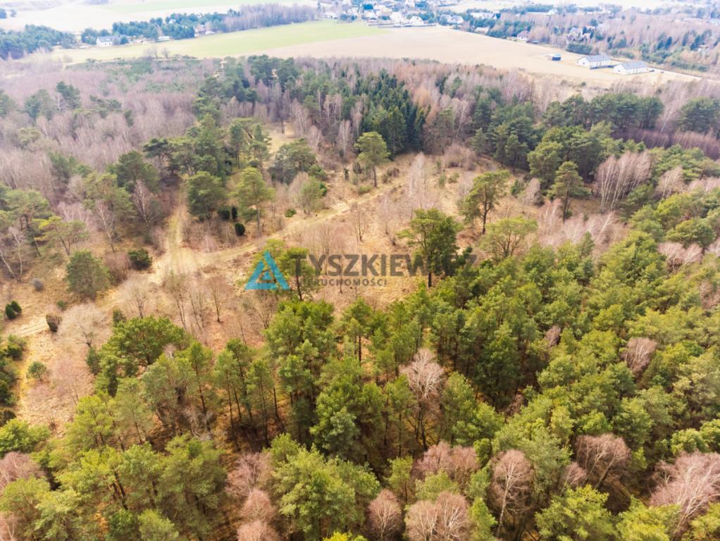 Działka leśna - zdjęcie 11