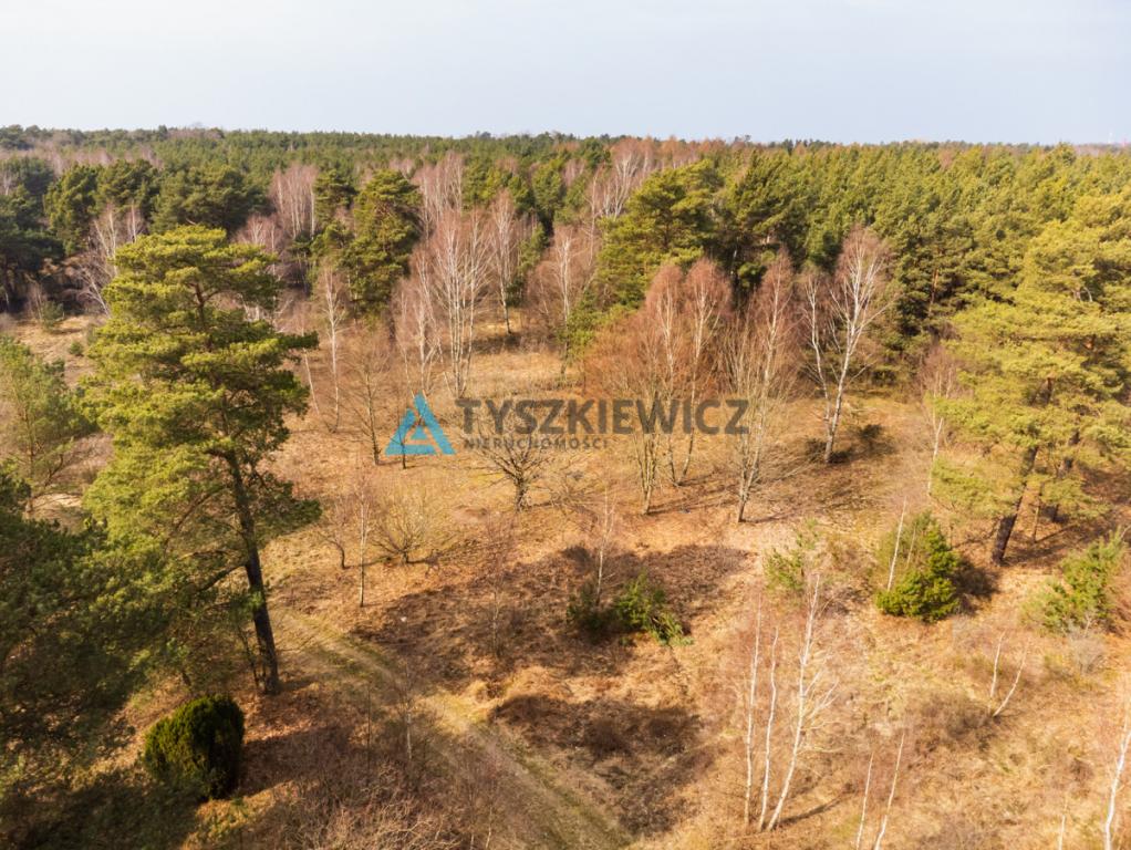 Działka leśna - zdjęcie 17
