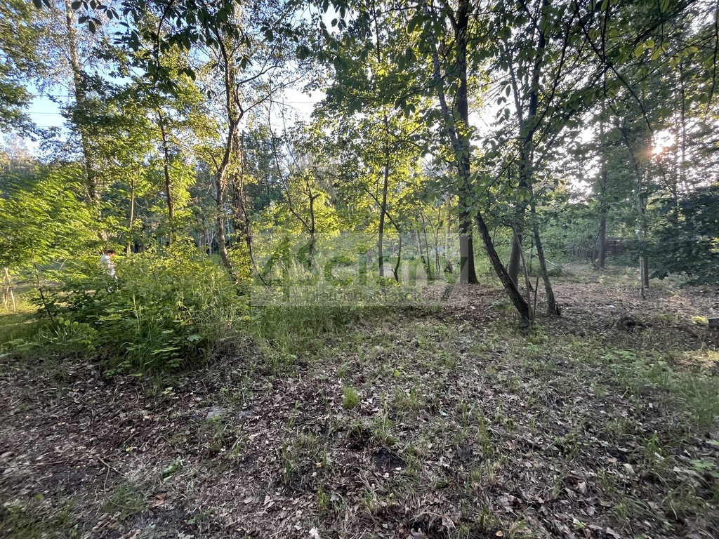 Działka budowlana 7600 m², Złotokłos - zdjęcie 2