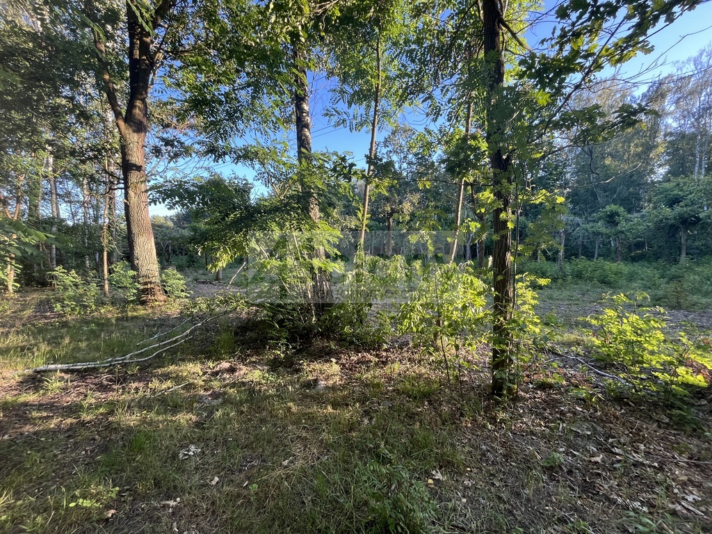 Działka budowlana 7600 m², Złotokłos - zdjęcie 1