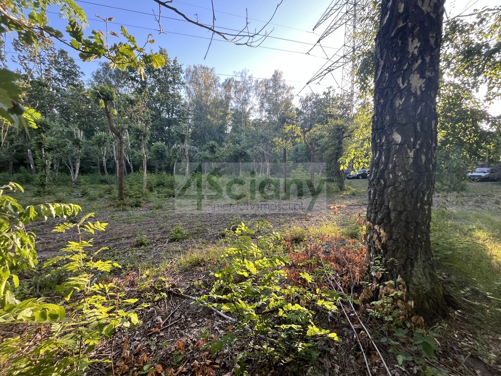 Działka budowlana 7600 m², Złotokłos - zdjęcie 3