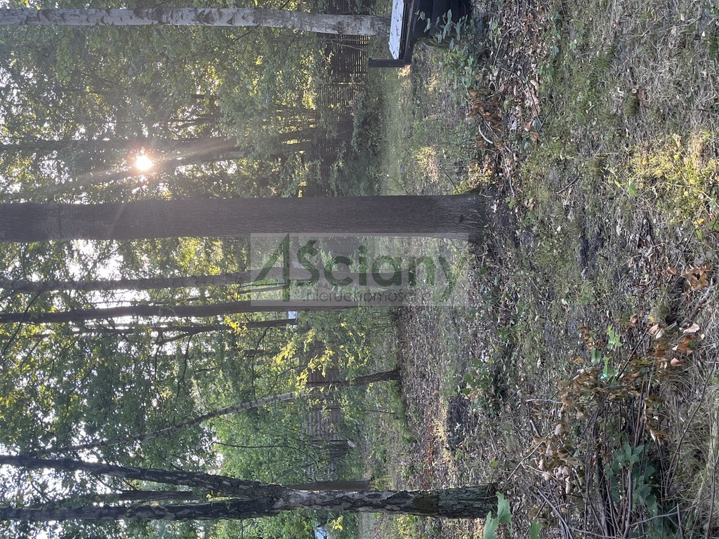 Działka budowlana 7600 m², Złotokłos - zdjęcie 10
