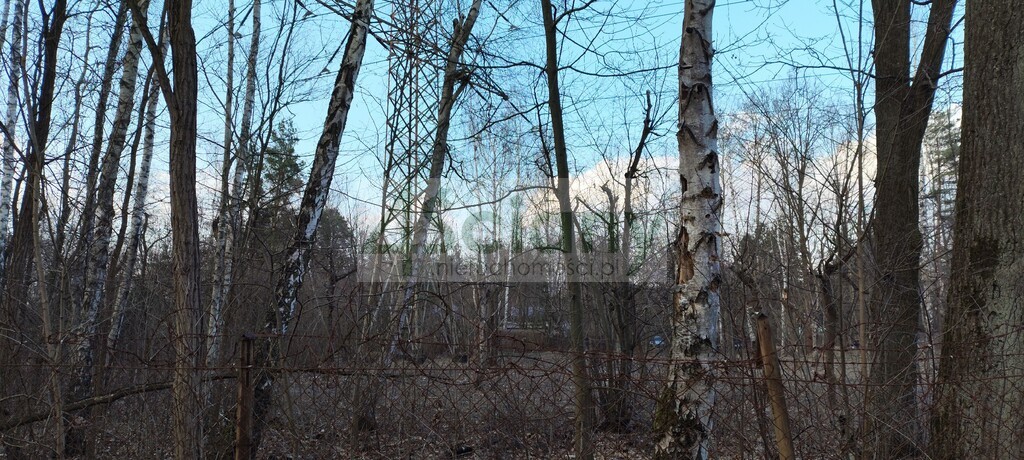 Działka budowlana 7600 m², Złotokłos - zdjęcie 8