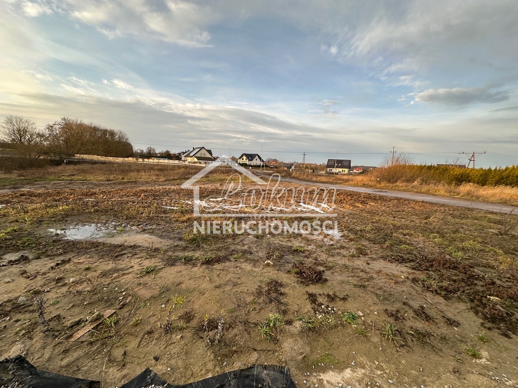 Działka budowlana 2161&nbsp;m², Przęsocin - zdjęcie 14