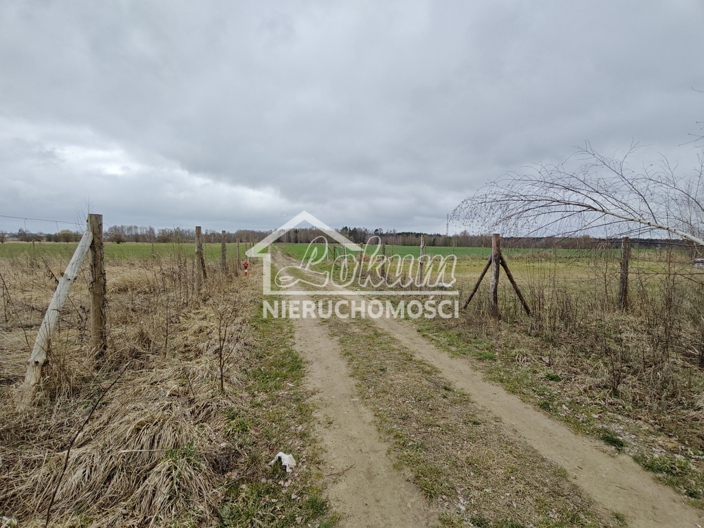Działka budowlana 742&nbsp;m², Wąwelnica - zdjęcie 3