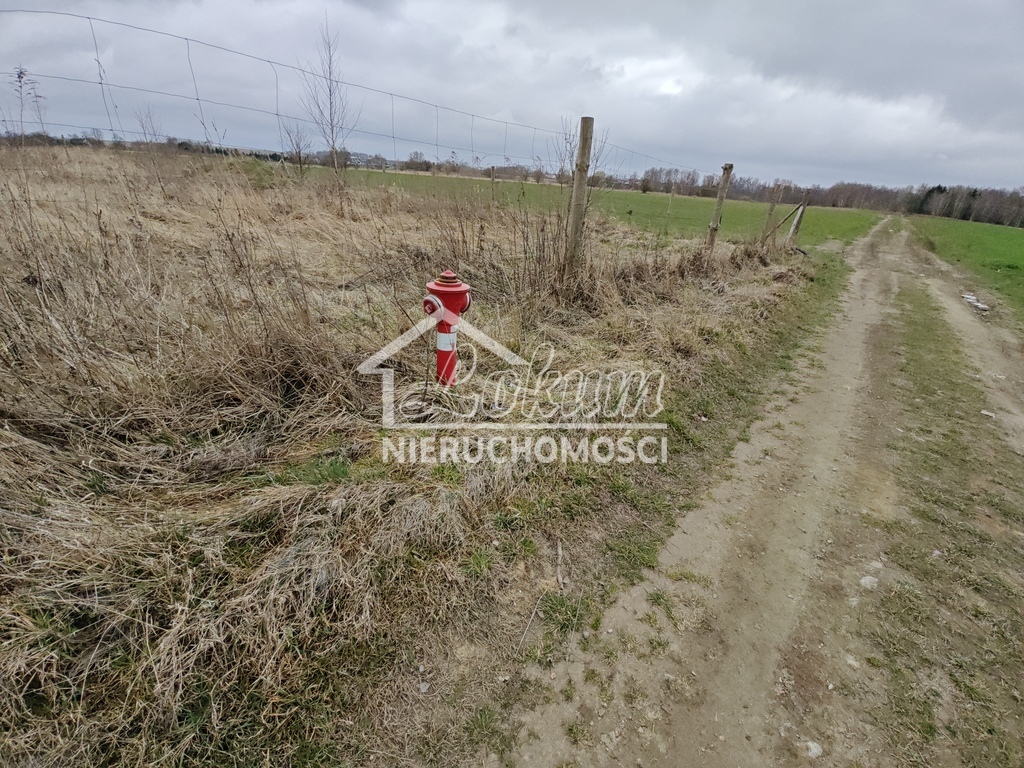 Działka budowlana 742&nbsp;m², Wąwelnica - zdjęcie 4