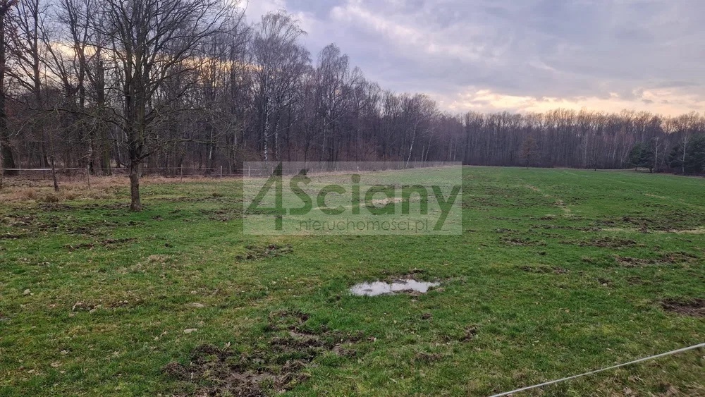 Działka budowlana 6000 m², Świętochów - zdjęcie 2