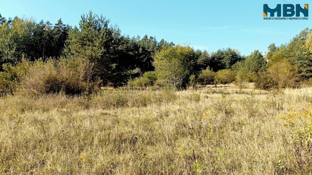 Działka inwestycyjna 1,53 ha, Węgorzewo - zdjęcie 15