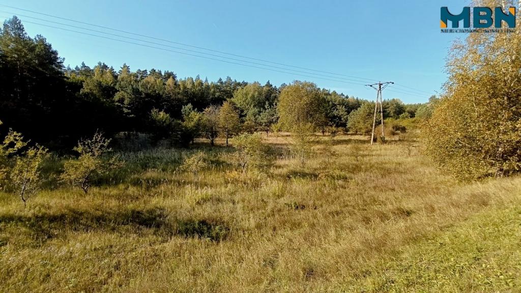 Działka inwestycyjna 1,53 ha, Węgorzewo - zdjęcie 13