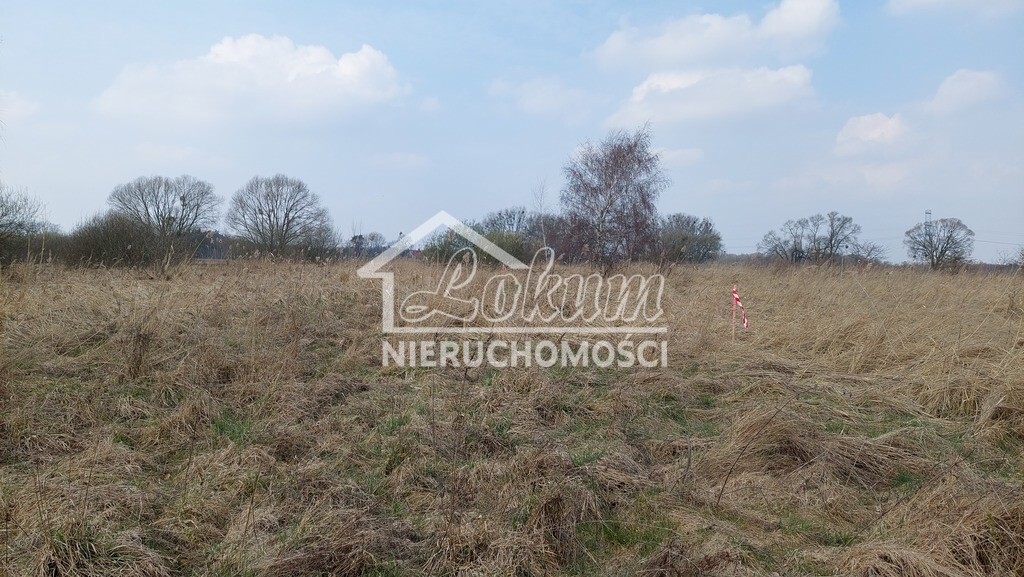 Działka budowlana 945 m², Szczecin, Skolwin, Inwalidzka - zdjęcie 5