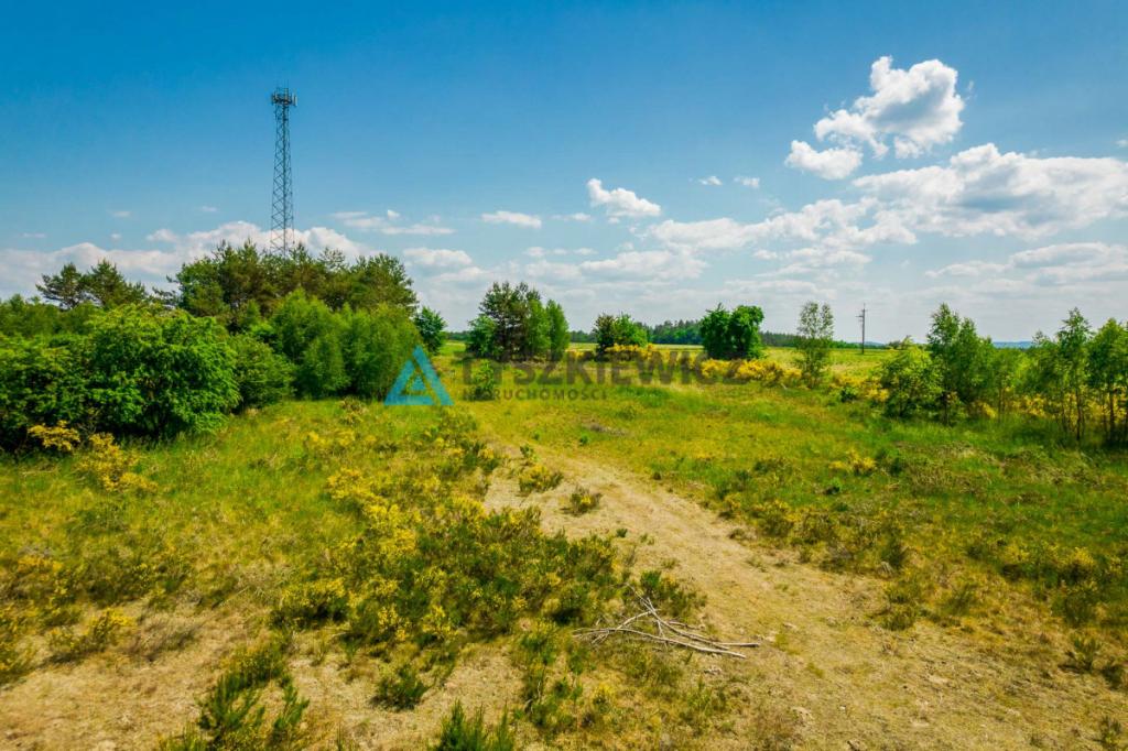 Działka rolna o pow. 1 ha Dębnica Kaszubska - zdjęcie 7