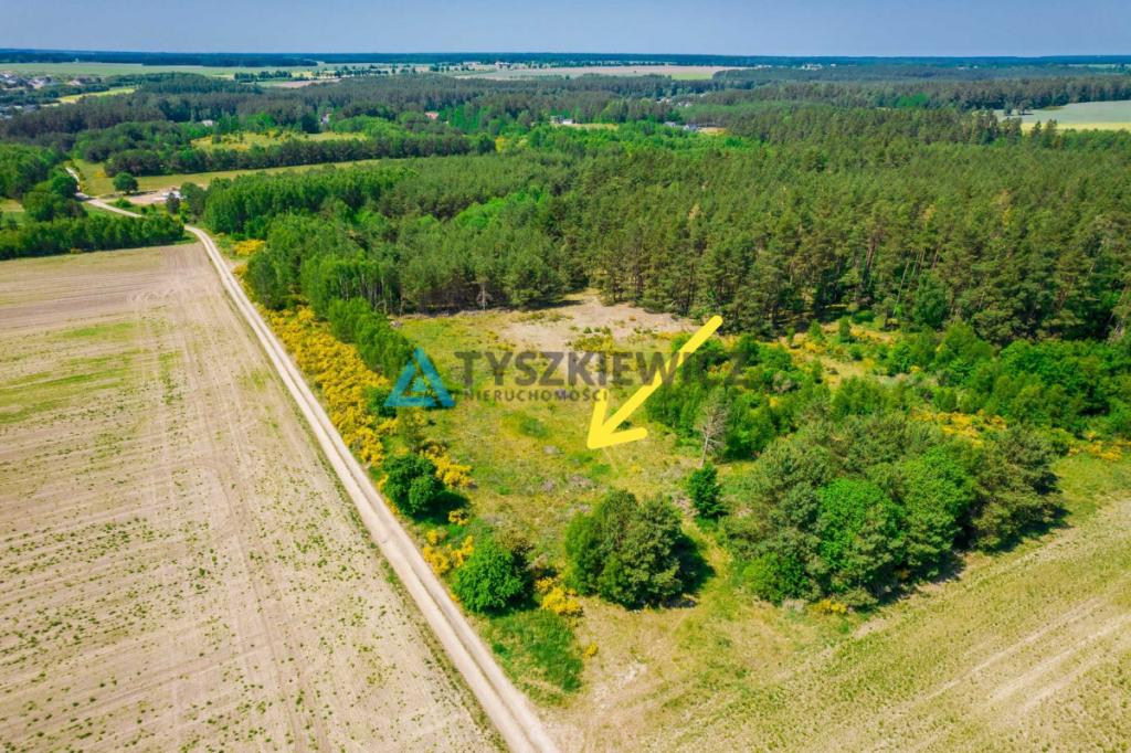 Działka rolna o pow. 1 ha Dębnica Kaszubska - zdjęcie 2