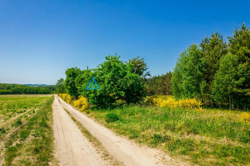 Działka rolna o pow. 1 ha Dębnica Kaszubska - zdjęcie 8