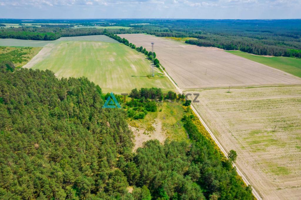 Działka rolna o pow. 1 ha Dębnica Kaszubska - zdjęcie 4