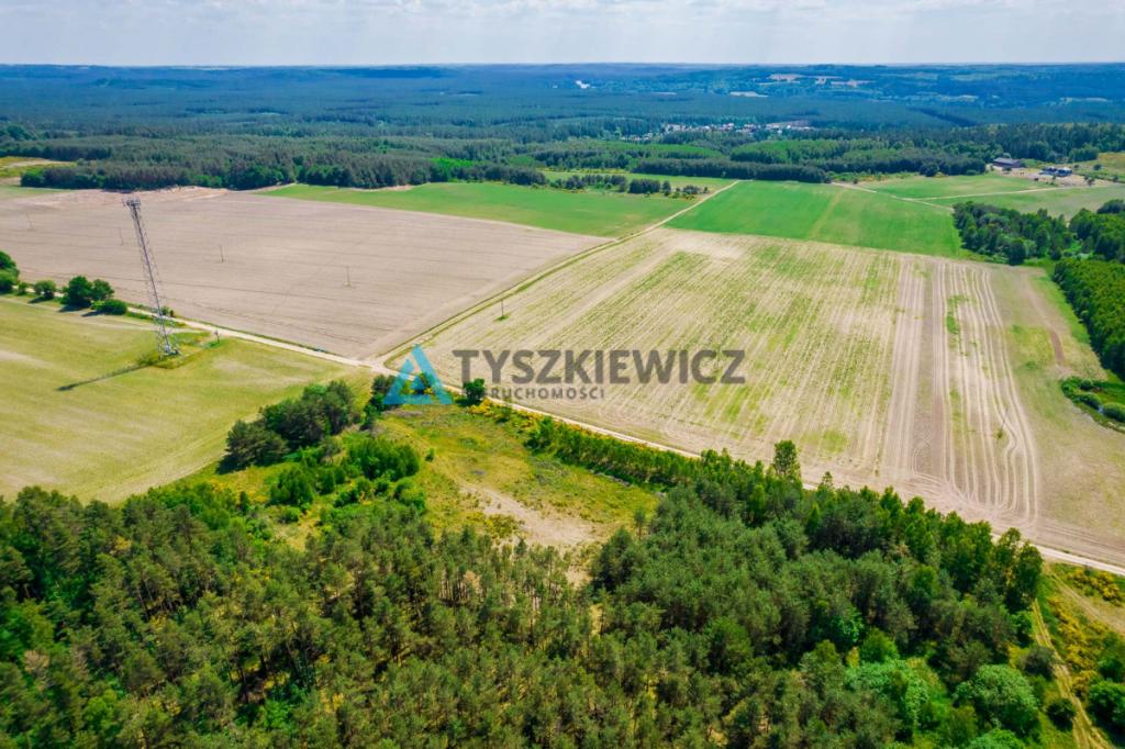Działka rolna o pow. 1 ha Dębnica Kaszubska - zdjęcie 5