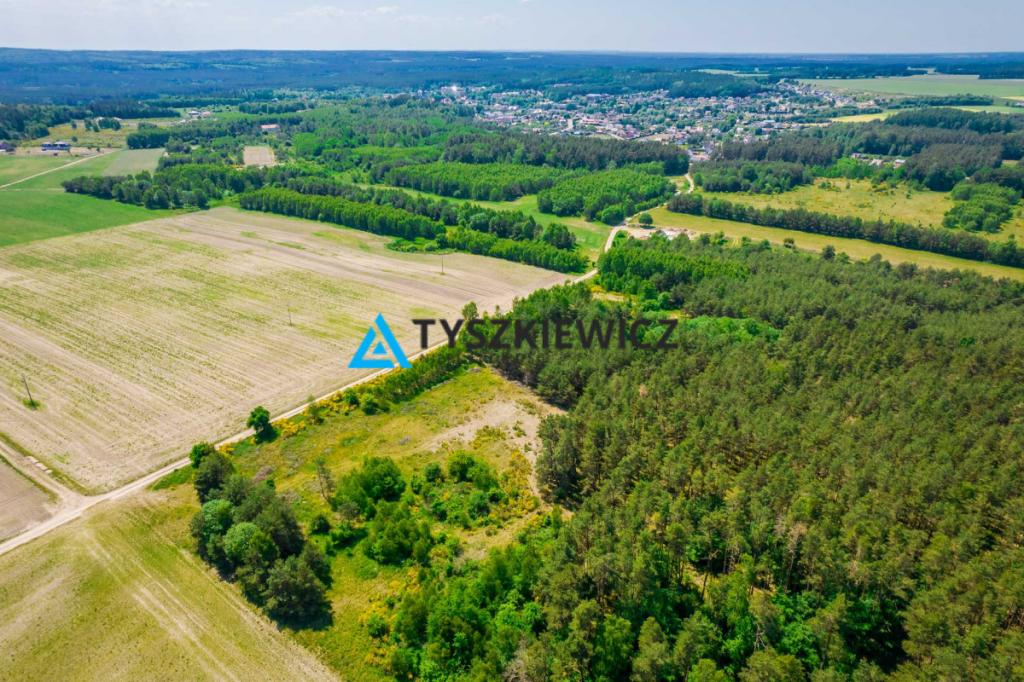 Działka rolna o pow. 1 ha Dębnica Kaszubska - zdjęcie 1
