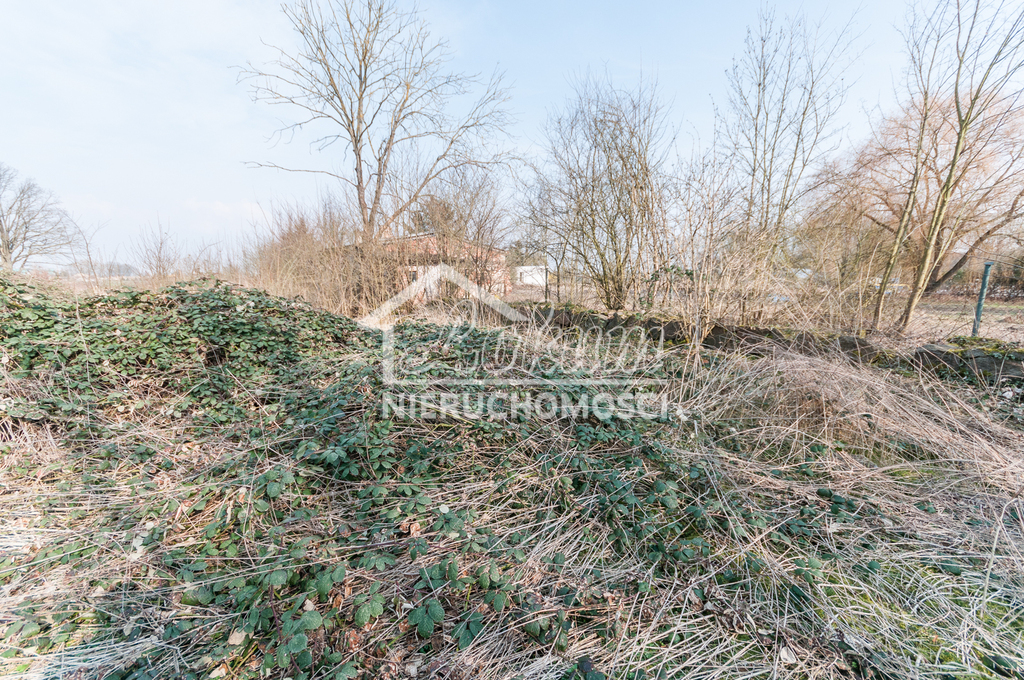 Działka inwestycyjna 2326&nbsp;m², Karwowo - zdjęcie 7