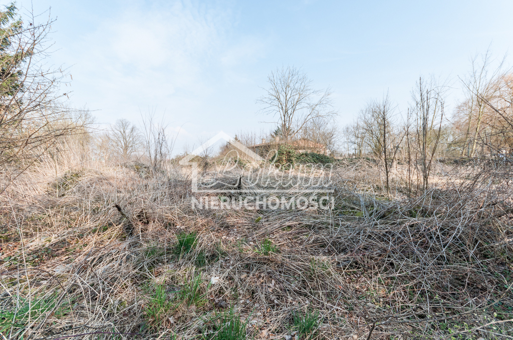 Działka inwestycyjna 2326&nbsp;m², Karwowo - zdjęcie 4