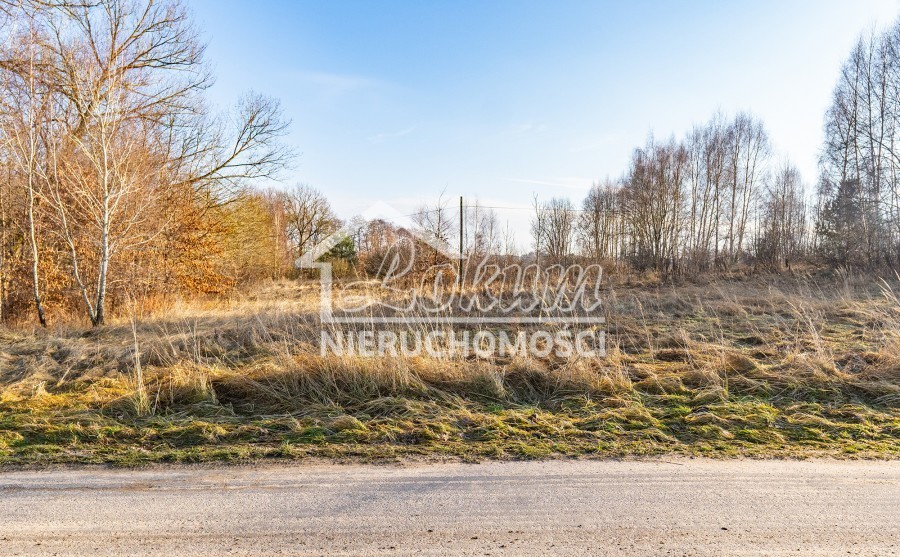 Działka budowlana 1,12&nbsp;ha, Ścienne - zdjęcie 7