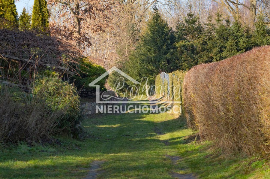 Działka budowlana 1,12&nbsp;ha, Ścienne - zdjęcie 5