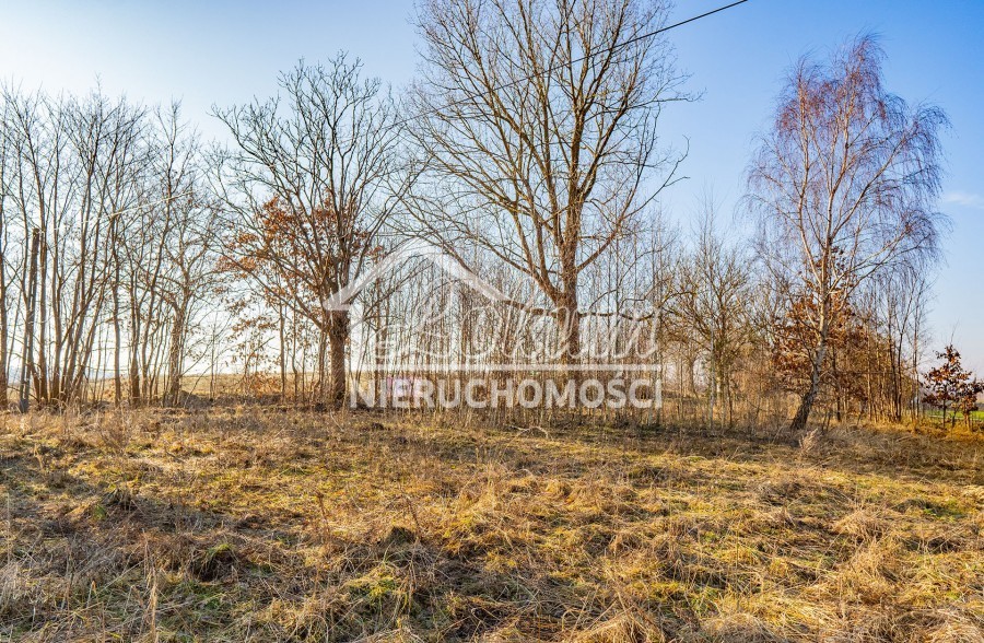 Działka budowlana 1,12&nbsp;ha, Ścienne - zdjęcie 8