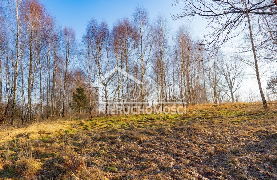 Działka budowlana 1,12&nbsp;ha, Ścienne - zdjęcie 3