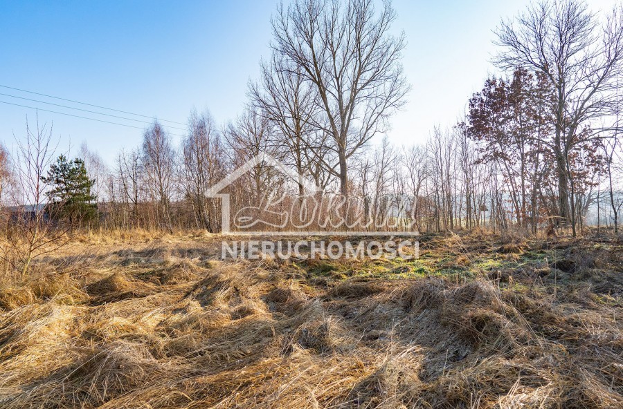 Działka budowlana 1,12&nbsp;ha, Ścienne - zdjęcie 9