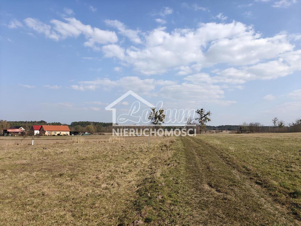 Działka budowlana 4021&nbsp;m², Żarnowo - zdjęcie 2
