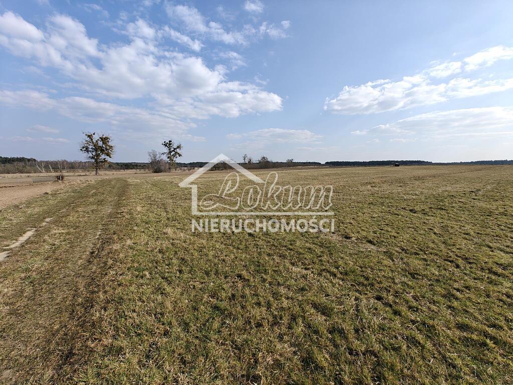 Działka budowlana 4021 m², Żarnowo - zdjęcie 3