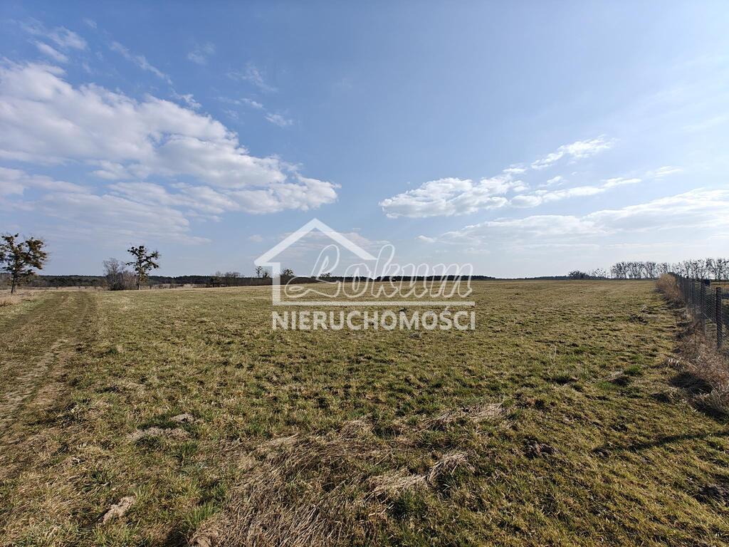 Działka budowlana 4021 m², Żarnowo - zdjęcie 10