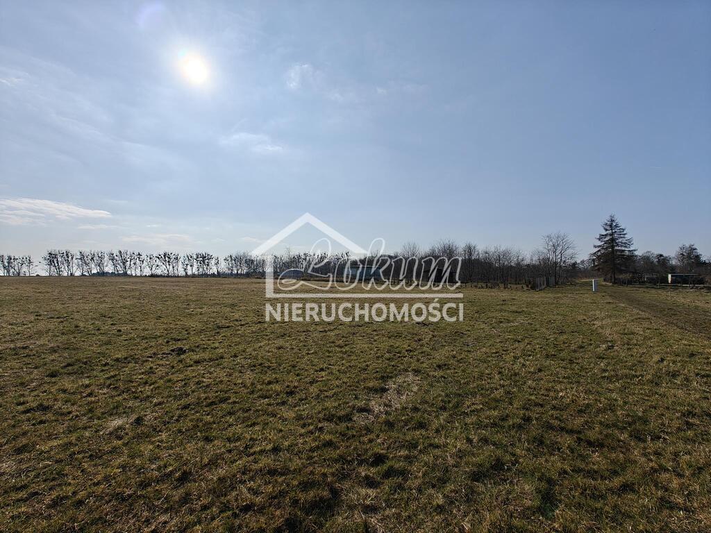 Działka budowlana 4021 m², Żarnowo - zdjęcie 5