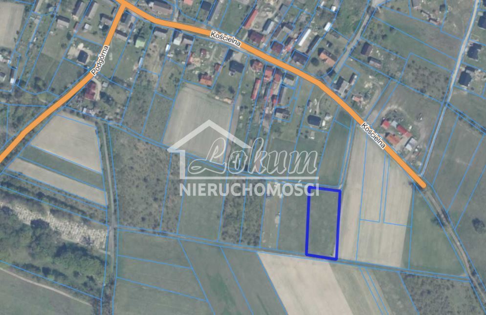 Działka budowlana 4021&nbsp;m², Żarnowo - zdjęcie 11