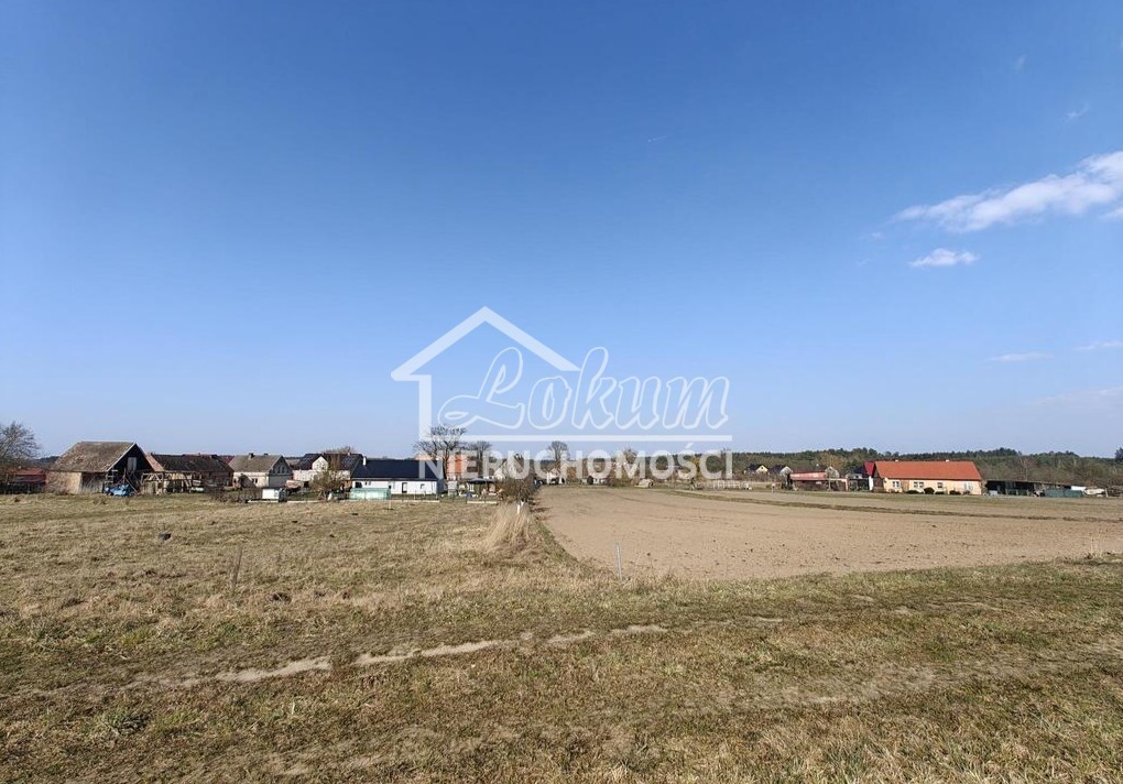 Działka budowlana 4021&nbsp;m², Żarnowo - zdjęcie 6
