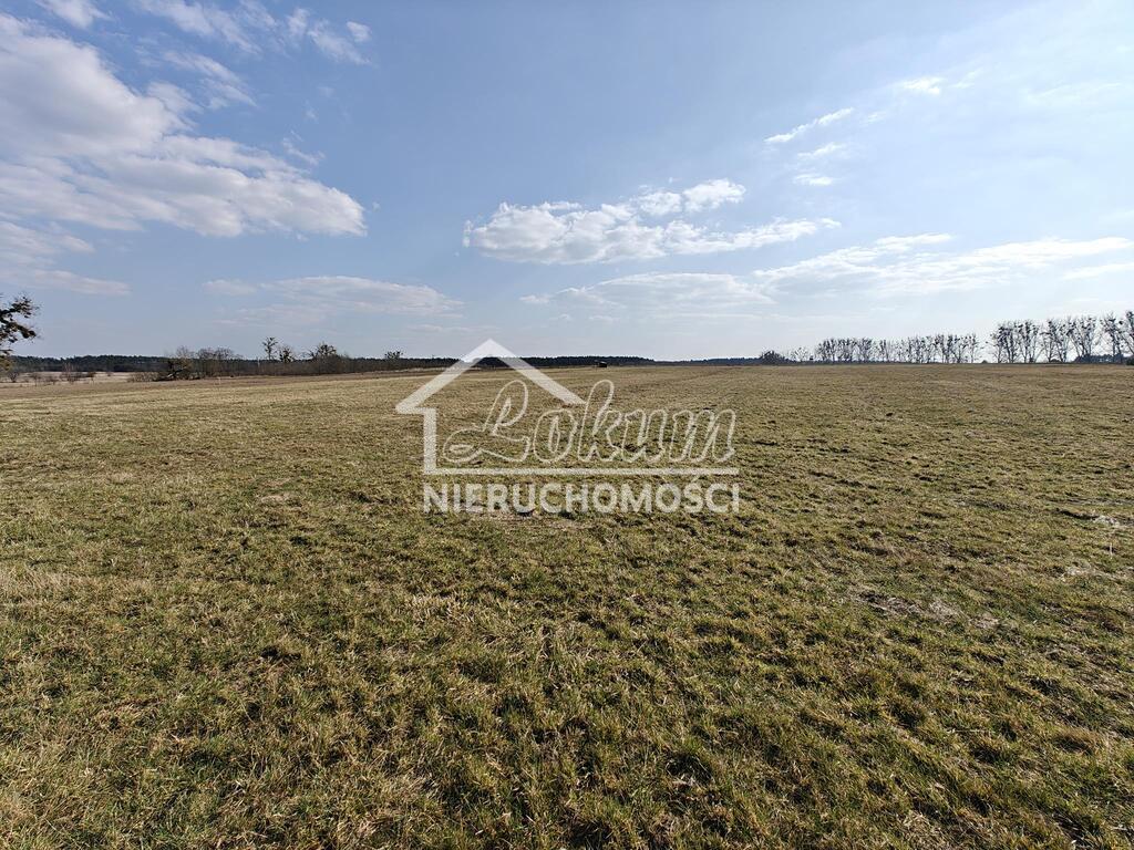 Działka budowlana 4021 m², Żarnowo - zdjęcie 1