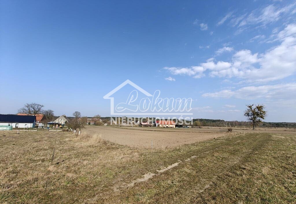Działka budowlana 4021 m², Żarnowo - zdjęcie 8