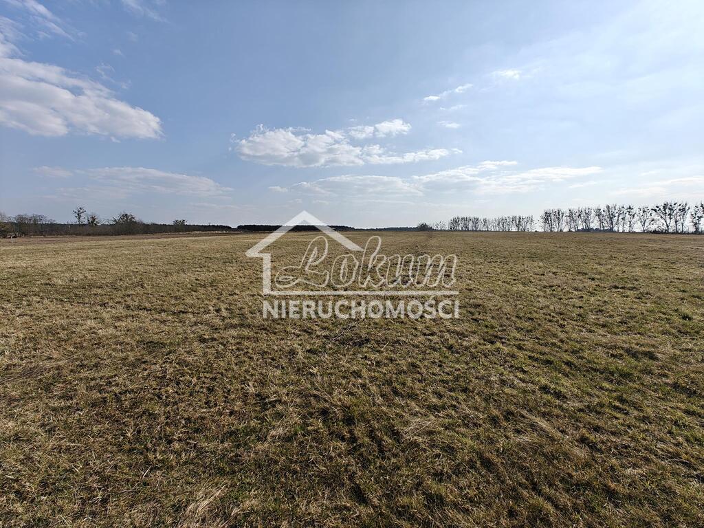 Działka budowlana 4021 m², Żarnowo - zdjęcie 4