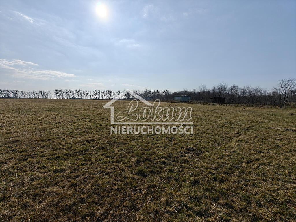 Działka budowlana 4021 m², Żarnowo - zdjęcie 9