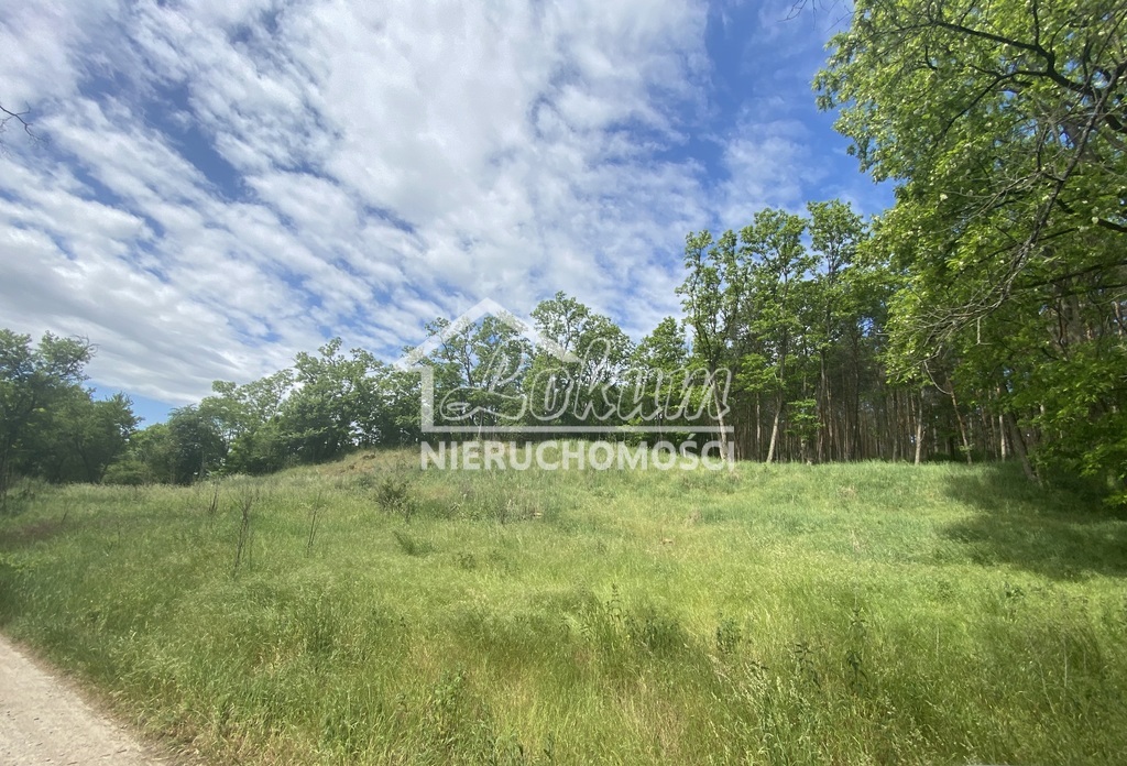 Działka budowlana 1500&nbsp;m², Stary Błeszyn - zdjęcie 9