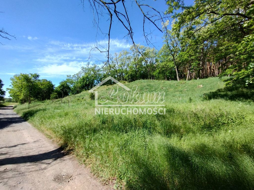 Działka budowlana 1500 m², Stary Błeszyn - zdjęcie 2