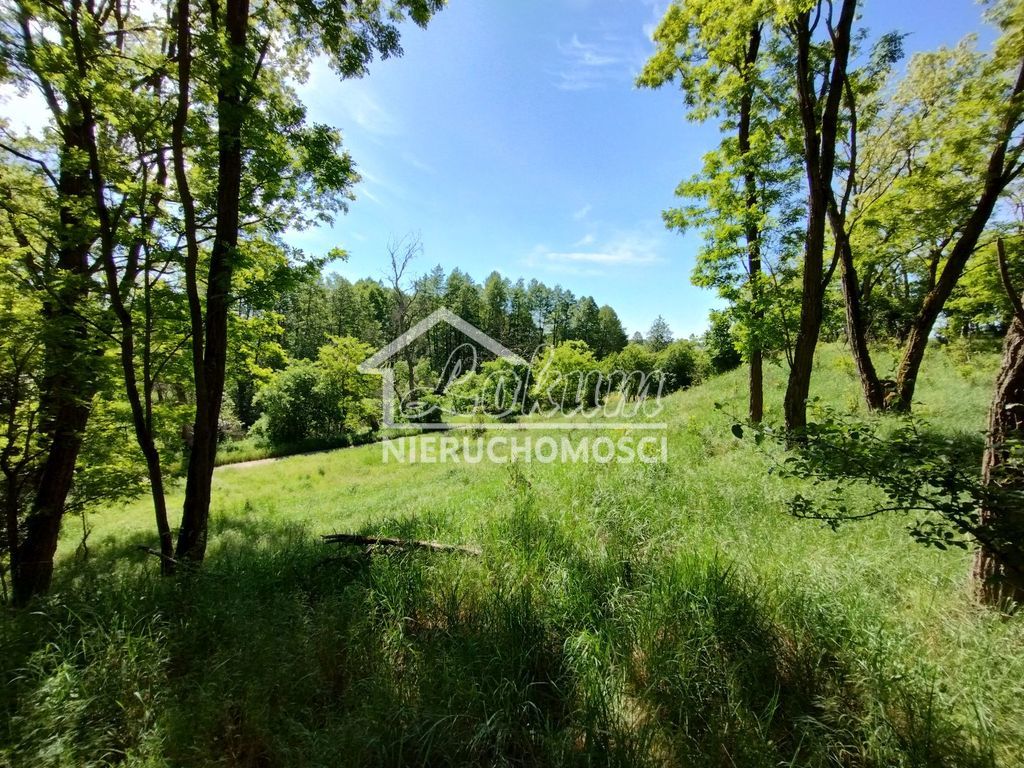 Działka budowlana 1500 m², Stary Błeszyn - zdjęcie 9