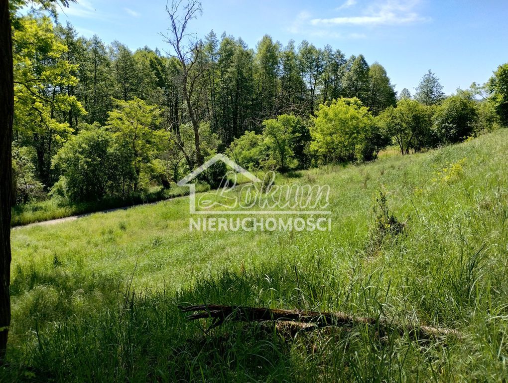 Działka budowlana 1500 m², Stary Błeszyn - zdjęcie 8