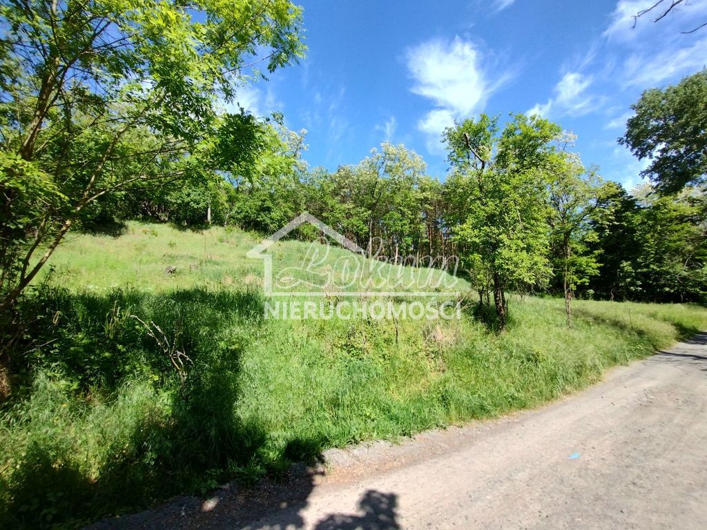 Działka budowlana 1500&nbsp;m², Stary Błeszyn - zdjęcie 1