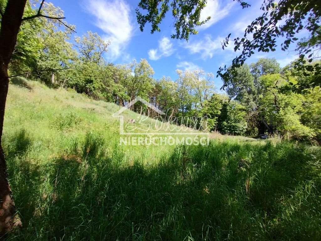 Działka budowlana 1500&nbsp;m², Stary Błeszyn - zdjęcie 8