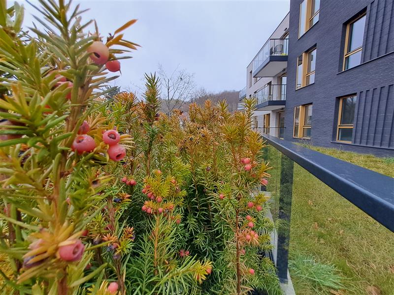 Mieszkanie 66&nbsp;m², Gdańsk, Grottgera Artura - zdjęcie 12