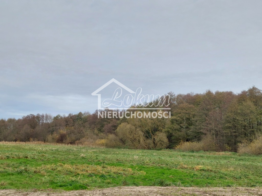 Działka rolna 3440&nbsp;m², Mielno - zdjęcie 1