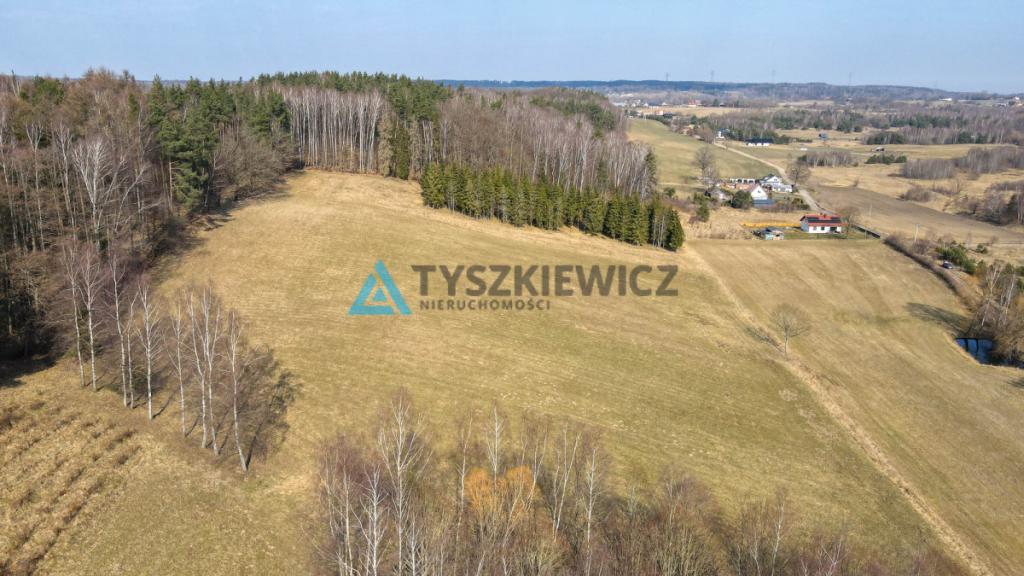 Działki rolne blisko lasu Mierzeszyn - zdjęcie 26