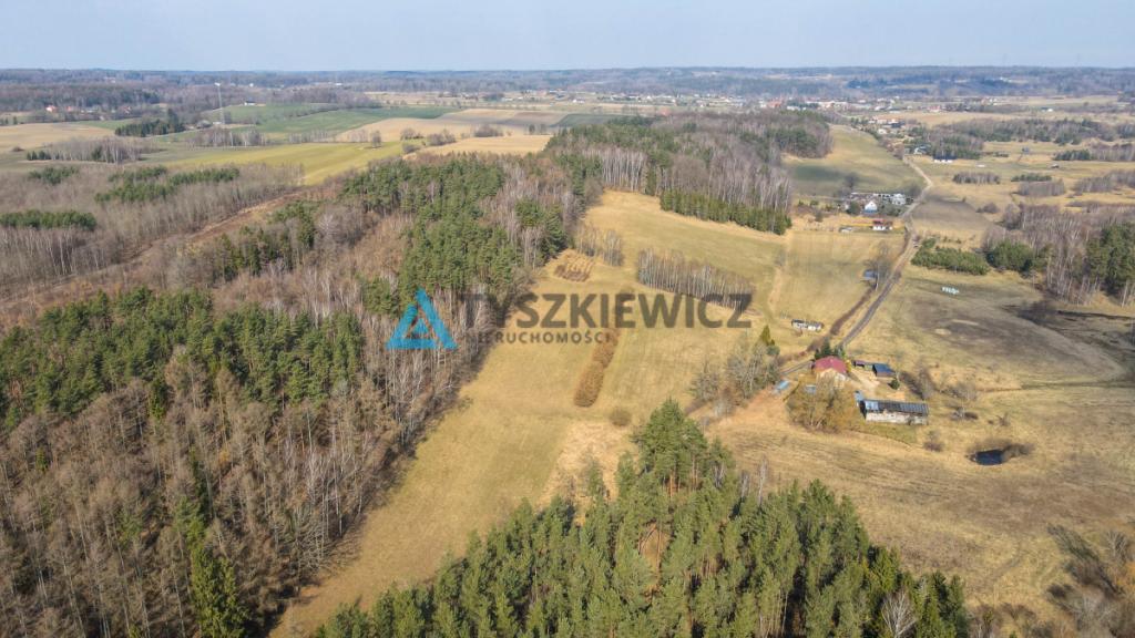 Działki rolne blisko lasu Mierzeszyn - zdjęcie 11