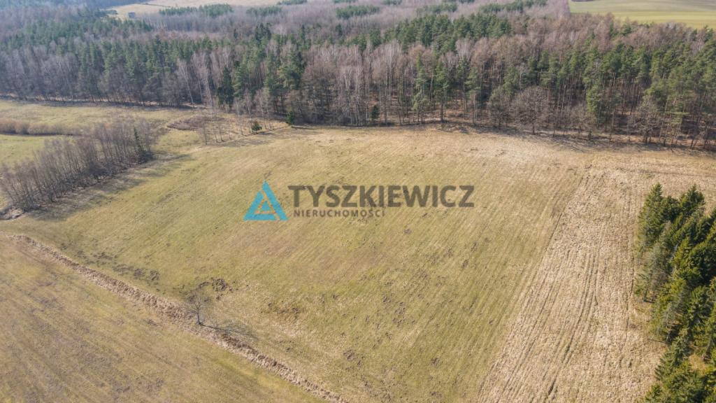 Działki rolne blisko lasu Mierzeszyn - zdjęcie 23