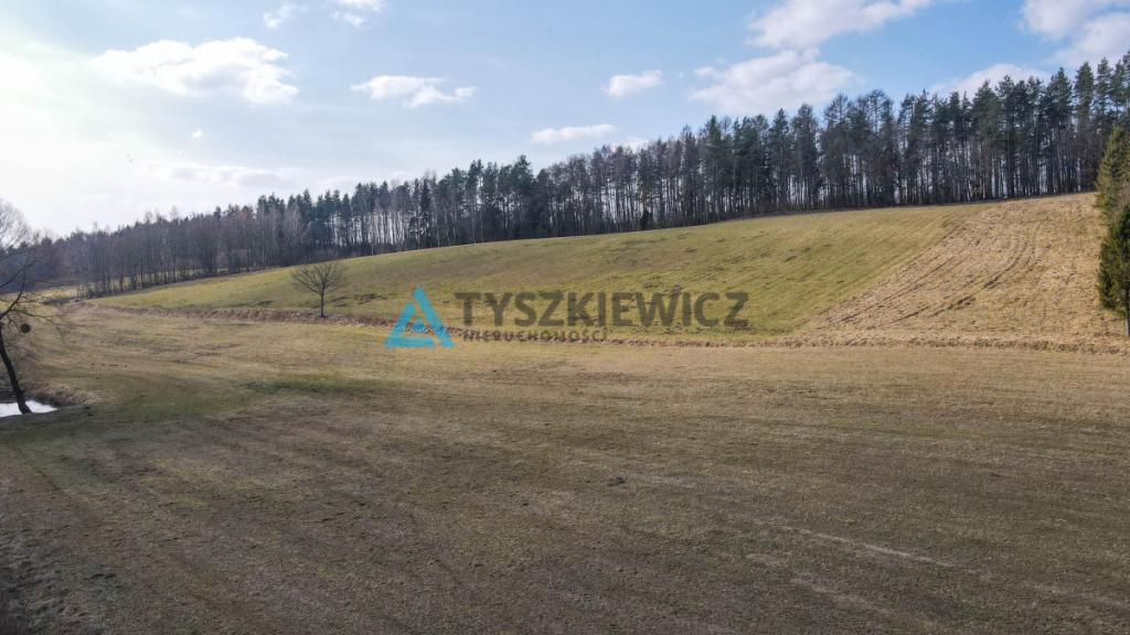 Działki rolne blisko lasu Mierzeszyn - zdjęcie 3