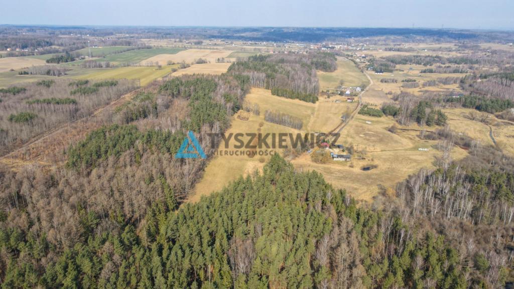 Działki rolne blisko lasu Mierzeszyn - zdjęcie 28